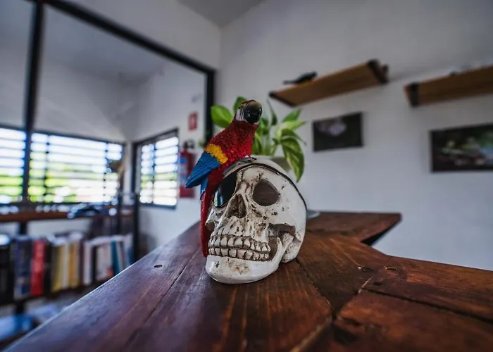 La Perle Noire - Dive Cozumel